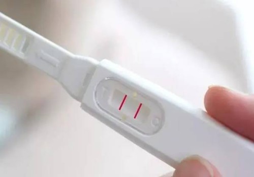 「男性备孕指南」如何看精液常规报告单？
