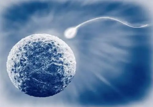 太原试管助孕价格：2023芜湖市妇幼保健院试管婴儿成功怀孩子策略，附助孕成功率