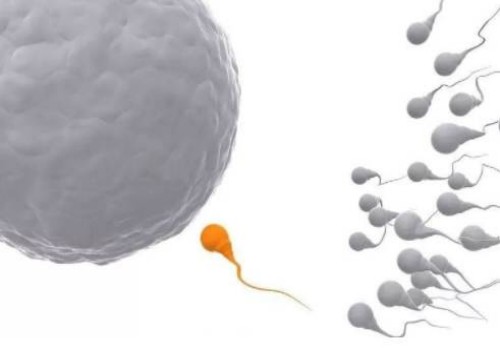 巧克力囊肿手术后多久可以要孩子？巧克力囊肿这么大以后就需要手术