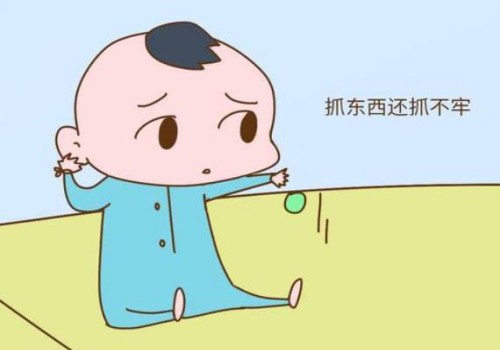 从心理到营养，完整的试管移植后饮食指南